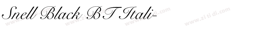 Snell Black BT Itali字体转换